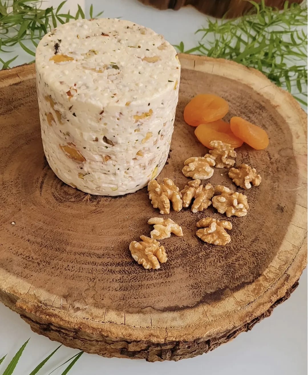 Queijo Gourmet Frutas secas e Ervas finas